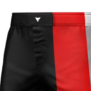 Servicios OEM, Precio Razonable, Diseño Personalizado, Logotipo Frontal, Pantalones Cortos de MMA 100% Poliéster, Último Estilo, MOQ Bajo, para Hombre - Product Image 3