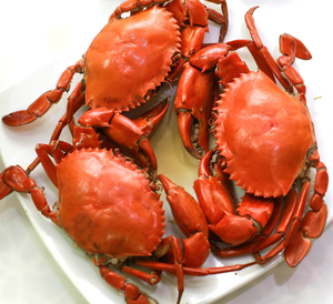 Camarones de Lodo Congelados IQF de Alta Calidad, Listos para Cocinar, Mariscos Premium para Venta al por Menor, Servicio de Alimentos y Catering - Product Image 3