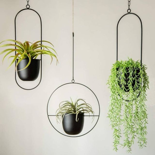 Suitable for real artificial plants Wedding and event decoration Hotel and restaurant decor Space saving plant display Gift item