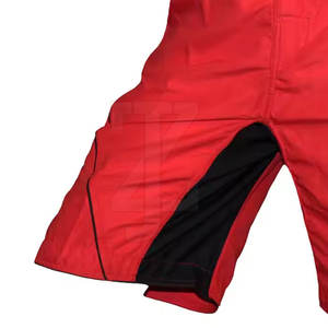 Vêtements d'entraînement modernes pour athlètes actifs, shorts MMA favorisant la flexibilité et les mouvements fluides - Product Image 6