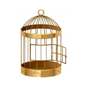 Jaula extra grande de hierro para pájaros con plataforma superior para jugar, comederos y sistema de cierre seguro para múltiples aves. - Product Image 3