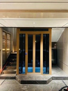 Ascenseurs hydrauliques externes chinois pour maison/ Ascenseur électrique résidentiel pour 2 personnes pour fauteuils roulants - Product Image 2