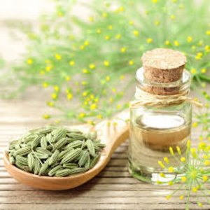 Terra Bio Naturals, Aceite Puro de Semillas de Hinojo 2026, el Más Vendido, con Empaque de Tamaño Personalizado para OEM/ODM por Fabricantes y Exportadores Indios - Product Image 5