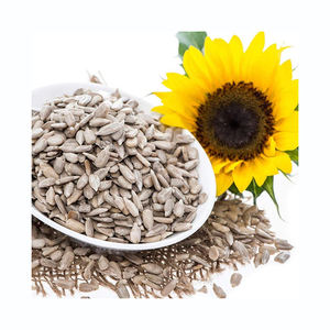 Graines de tournesol en stock d'usine, graines propres disponibles pour les marchés de gros - Product Image 6