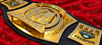 Ceinture de champion personnalisée avec logo, ceinture de championnat de football fantastique FFL 2014, plaquée or, en cuir, unisexe
