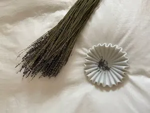 Intérieurs minimalistes, thèmes de décoration contemporaine et arrangements classiques de luxe, la beauté translucide - Product Image 5