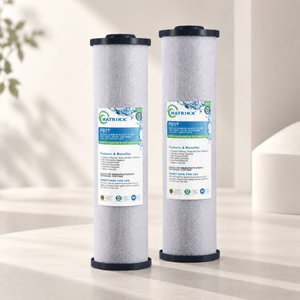 Filtre à eau au chlore et à la chloramine, filtre de suppression des COV, charbon actif de coque de noix de coco, distributeur MATRIKX Taïwan - Product Image 1