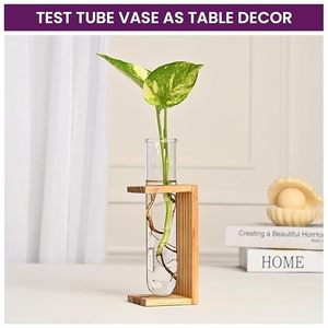 Vase en verre moderne et durable avec support en bois, récipient hydroponique pour fleurs, pot de fleurs minimaliste pour bureau, diamètre 4"-6", décoration intérieure - Product Image 4
