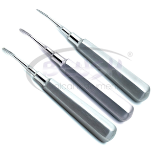 Juego de 8 Elevadores Dentales de Acero Inoxidable, Rectos y Curvos, para Extracción de Hueso y Tejido, Instrumento de Cirugía General de Alta Precisión - Product Image 4