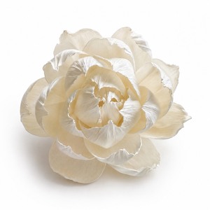 Fleurs de pivoine en bois de Sola faites à la main, durables et économiques, en vrac, avec taille personnalisable 11 CM - Product Image 1