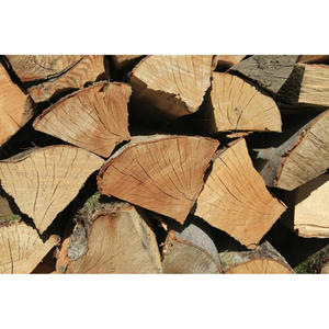 Troncos de Madera Blanda de Grado de Construcción, Material de Madera Resistente, Perfecto para Postes de Cercas, Soporte de Jardín y Estructuras Exteriores - Product Image 6