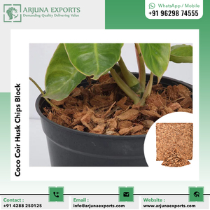 Terrace Garden en utilisant des copeaux de noix de coco, de tourbe de coco/de noix de coco, blocs de 5kg d'exportateur indien de confiance - Product Image 6