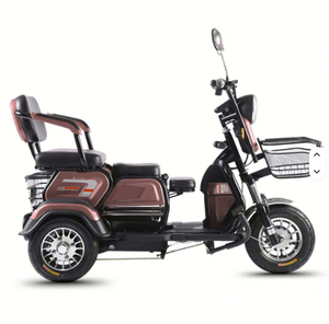 Best Sales Electric Pedicab Supplier Two-Seater Electric <b>Tricycle</b> - Product Image 2