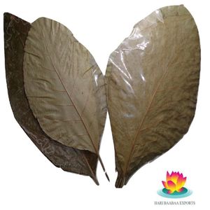 Feuilles de teck naturelles séchées, moins de 10 cm / 3,93 pouces, pour aquarium, lot de 18 feuilles - Product Image 6