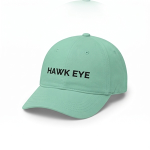 Casquette de baseball en coton à 6 panneaux Hawk Eye, réglable, unisexe, décontractée, avec logo imprimé sur le devant, vert menthe - Product Image 6