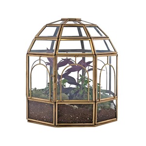 Terrario de Vidrio de Lujo para Centro de Mesa de Sala de Estar y Decoración Interior Premium con un Atractivo Decorativo Elegante - Product Image 1