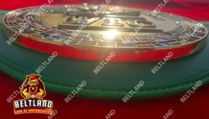 WBC World <b>Boxing</b> Championship Title Belt Adult Size in Zinc 8mm - Product Image 6