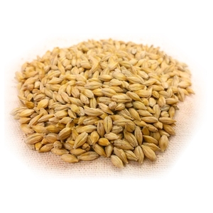 Proveedor de Granos Confiable: Cebada para Alimentación Animal, Suministro a Granel, Ofrece Granos Limpios para Nutrición Agrícola, Compradores Internacionales - Product Image 5