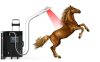Appareil combiné de thérapie par lumière rouge 2 en 1 pour les articulations et les os des chevaux, PMST NEO PhysioMagneto pour chevaux