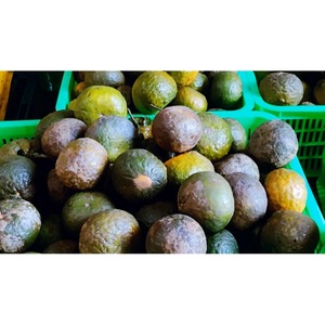Bebida de Jugo de Naranja Cojo Cojo Vinut de 320 ml, Concentrado Natural de Nata de Coco, Mango, Coco, Manzana, Uva, Certificado Halal, Vietnam, a Granel - Product Image 2