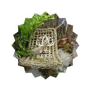 Hamaca de Pasto Marino de Alta Calidad 2026 para Reptiles, Lagartos, Geckos, para Escalar, Tomar el Sol y Decoración de Terrarios - Product Image 6