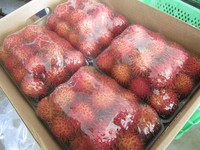 Hoge Kwaliteit Beste Prijs Zoete Rambutan
