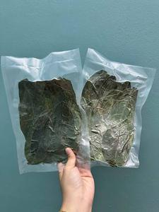 Dried Soursop Leaves Fermented Broken Black <b>Tea</b> Brew Hot Water Organic Health Non Sugar 50gr <b>Box</b> Packaging EXPAD CO Grade - Product Image 2