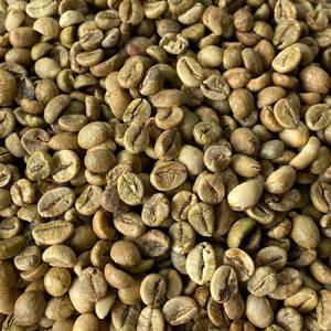 Café Robusta de Vietnam en Grano Entero, Puro y Natural, Suministro Directo de Fábrica para Exportación, Bolsas de PP de 60 kg, Venta al Por Mayor - Product Image 2