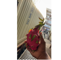Premium Ocean Link Exim Grade Dragon Fruit Voedingsrijke Tropische Fruit voor Foodservice, Retail, Groothandel en Wereldwijde Exportmarkten