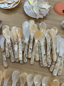 ช้อนเปลือกหอยทำมือ ของตกแต่งบ้านสุดหรู ของขวัญ ช้อนเปลือกมุกธรรมชาติ ทำมือ เป็นมิตรกับสิ่งแวดล้อม ภาชนะบนโต๊ะอาหารสุดหรู - Product Image 4