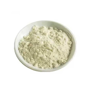 Concentrado de Proteína de Suero de Leche Bovina de Grado Alimenticio WPC 80% Proteína Láctea para Aplicaciones de Nutrición Deportiva - Product Image 4