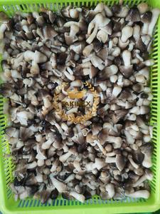 Seta de paja enlatada sabrosa de fábrica de Vietnam de precio competitivo entero pelado 3kg Takimex - Product Image 2