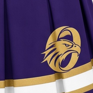 Purple <b>Gold</b> Sublimated Cheer Panel <b>Skirt</b> Pleated Athletic Team Uniform Bottoms Sports Training Wear Performance Competition - Product Image 6
