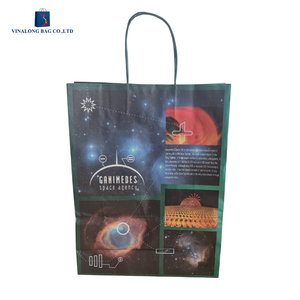 Fabricant de sacs en papier personnalisés avec logo OEM, fournisseur en gros d'emballages, sacs en kraft imprimés écologiques, exportateur direct d'usine en gros - Product Image 4