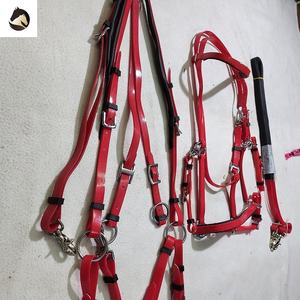 Brida de relleno EVA recubierta de PVC de caballo rosa de alta calidad, juego completo de resistencia con Hardware de latón, fabricante en la India - Product Image 2