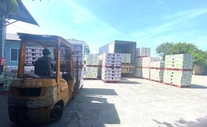 Abest เครื่องดื่มชาเขียวขวดสำหรับสัตว์เลี้ยงพร้อมส่งออกยุคใหม่ - Product Image 6