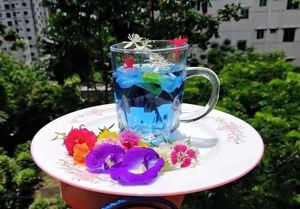 Premium Dried Butterfly Pea Flowers Natural Blue Petals For Beverage Processing Tea Production Bulk Wholesale Vietnam Supply - Product Image 3