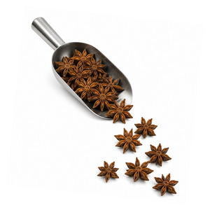 Best Price Best Selling Vietnam Manufacturer Supply Tasty International Standard Star Anise Bulk Supply - Product Image 4