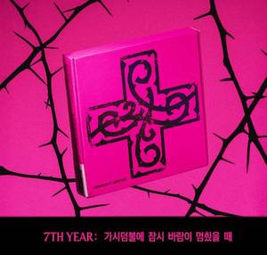TXT 7TH YEAR: Cuando el Viento se Detuvo Temporalmente en las Espinas (VERSIÓN COJín de ESPINAS) CD de Música Versión K-Pop (Plástico y Papel Coreano) - Product Image 3