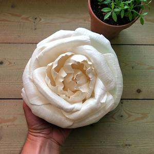 Fleurs en bois Sola VADEE faites à la main, durables, ROSE LALA, fleurs en bois Sola 8,5 CM, tige en fibre de plante Sesbania de Thaïlande - Product Image 2