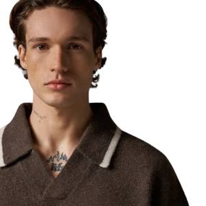 Men Knitted Polo <b>Top</b> Brown <b>Long</b> <b>Sleeve</b> Soft Textured Button Collar Pullover Casual Winter <b>Top</b> Cotton Blend - Product Image 5