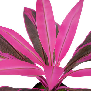 Usine directe violet étanche plante en pot artificielle sans entretien salon intérieur et décor de <span class=keywords><strong>balcon</strong></span> - Product Image 2