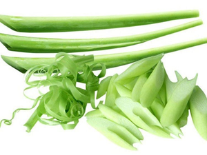Premium IQF Frozen Sliced Alocasia 250g & 500g Ready to Cook Vietnam Manufacturer ANGLE - Product Image 4
