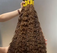 Cheveux Humains Vietnamiens, Cheveux Humains Birmans, Styles Bouclés Naturels, Cheveux Bruts en Gros, Vente en Gros de Cheveux Humains