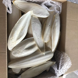 Hueso de Sepia Seco Certificado ISO Nutritivo Nature Ms. Lily - Product Image 1