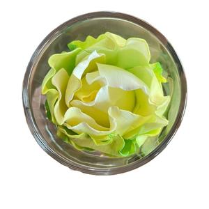 Difusor de Aromas VADEE SOLA WOOD FLOWER SET ROSE, 6.5CM, Color Verde Suave, Varilla de Fibra Vegetal de Sesbania, Aromaterapia, Artesanía Sostenible Hecha a Mano - Product Image 1