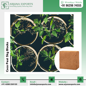 Bloques de coco de 5kg para invernaderos y cultivadores hidropónicos a precio de venta al por mayor - Product Image 5