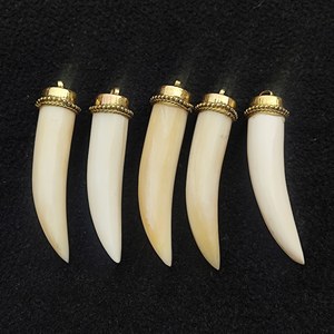 Natural Buffalo Horn bone Pendant With Gold Tone Caps Polished Curved Shape <b>locket</b> - Product Image 1