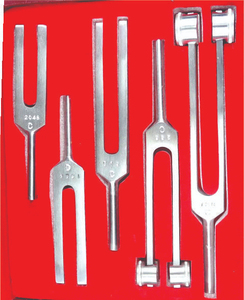 Juego de diapasones de 5 piezas con certificación CE, martillo de sonido de acero quirúrgico con instrumentos de madera de Mahfooz Instruments - Product Image 2