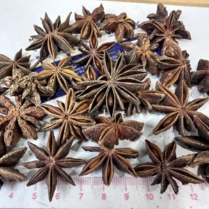 Anís estrellado entero seco, grado alimenticio, aroma natural, suministro al por mayor B2B para fábricas de condimentos, importador de té de hierbas/ ANNA DO - Product Image 5